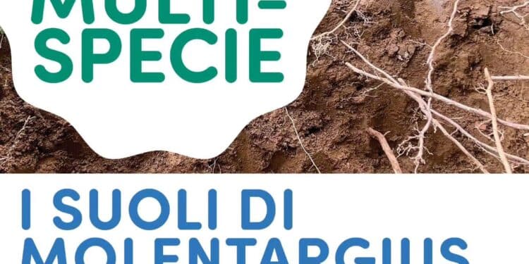 Cagliari esplora i suoli di Molentargius, terza passeggiata del ciclo “La Città Multispecie”